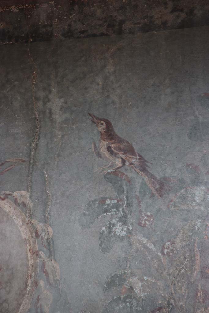 III.3, Herculaneum, September 2017. Detail of painted bird from upper west end of garden painting.
Photo courtesy of Klaus Heese.